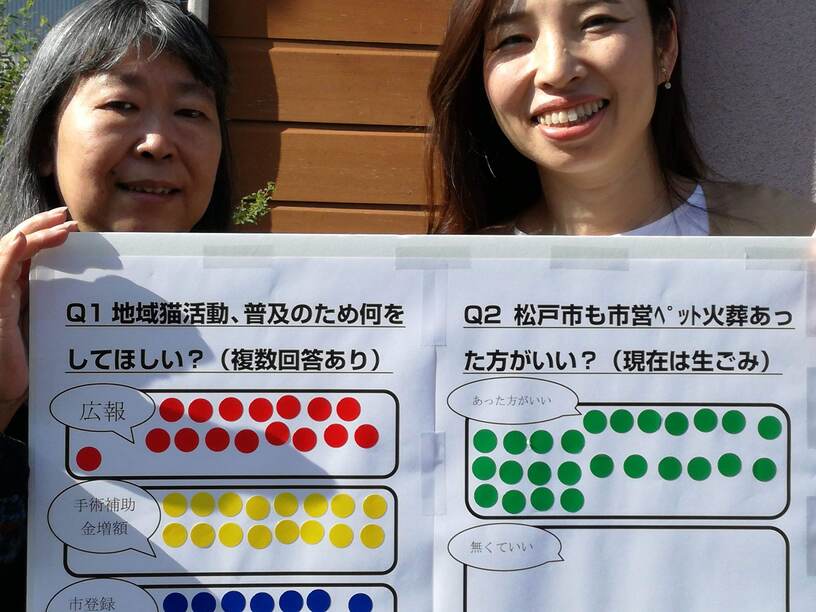 2019年松戸市議会議員選挙にて、候補者への猫の不妊手術・火葬場アンケート結果を手に街角インタビューを行う木村悦子02