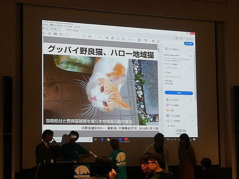 2019年アーバンデータチャレンジアイデア部門銀賞地域猫普及アプリ(木村悦子)スライド表紙